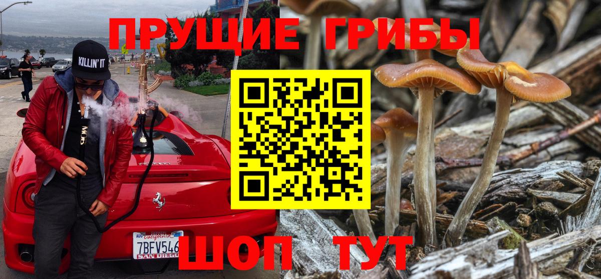 Артём  Галлюциногенные грибы Cubensis  Псилоцибиновые грибы прущие грибы  где продают   Вход с VPN 